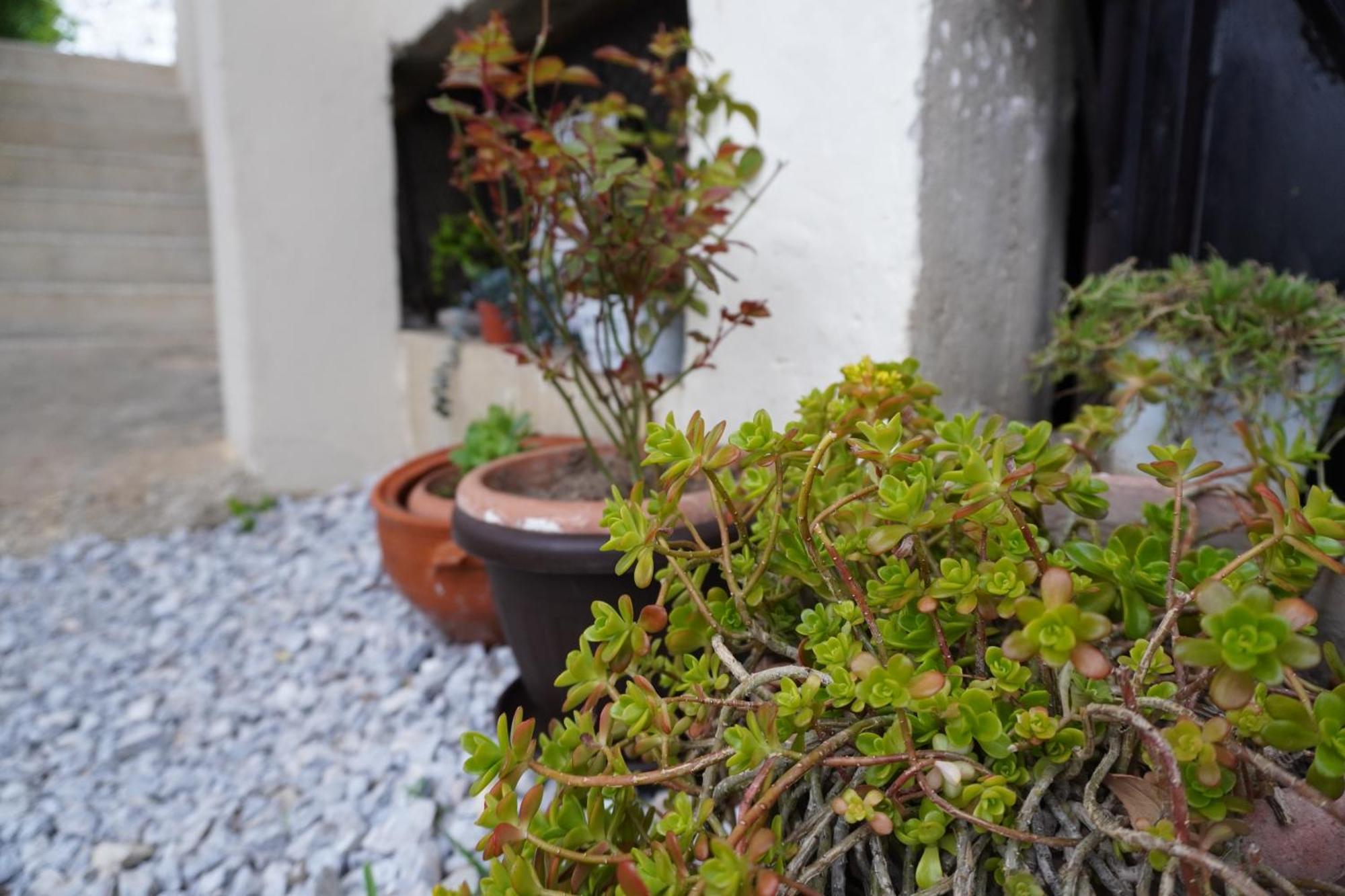 Appartamento Elena'S House Polistilon Esterno foto